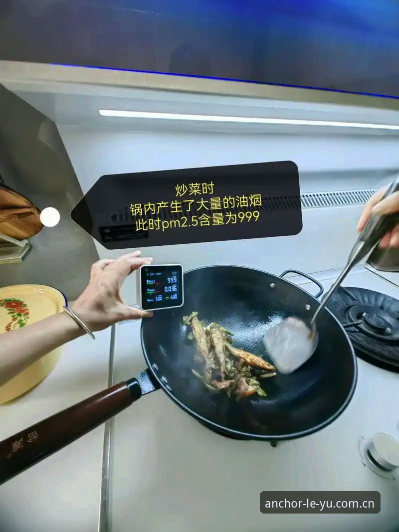 3年实测老用户告诉你：乐鱼官网兼容版哪个好？——锚点向心QG8C版本的使用心得